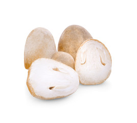 Straw mushrooms in isolated white background