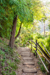 Obraz premium Wooden walk way through natural bamboo forest. Travel concept.