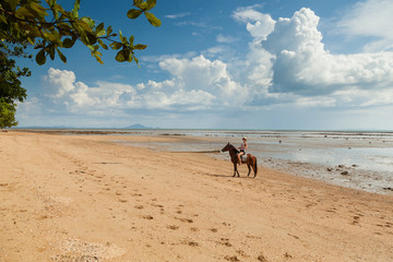 Beautiful woman on a horse. Horseback rider. Paradise tropical beach.