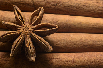 Illicium verum on sticks of cinnamon macro