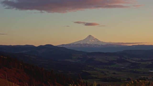 Sunset fertile valley and snowy mountain in spring Mt. Hood above Hood River Odell Parkdale
