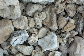 Stones on the east side of Barbados.