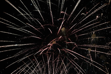 Obraz premium firework