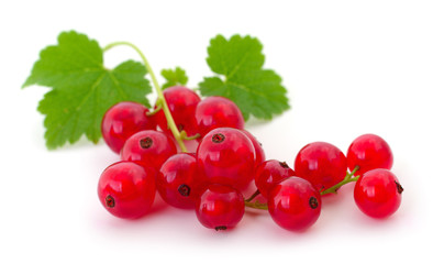 Red currants isolated.