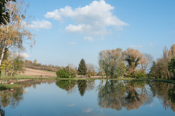 Obraz premium arbres se réfléchissant dans un lac en automne