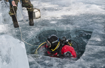 diver plunges into the hole in the ice of lake Baikal