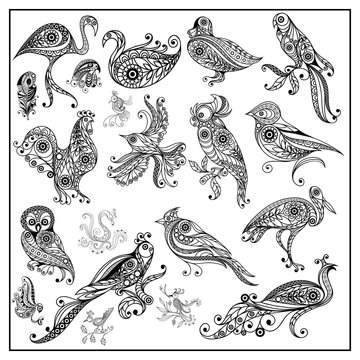 Graphic illustration of different birds_set 4