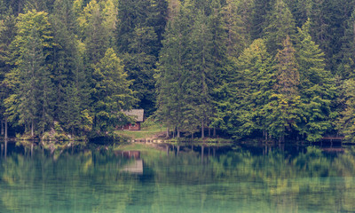 Wooden cabin surrounded with pine forest at lake shore.