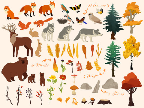 Set of cute autumn forest elements - animals, trees and other. Vector decorative cute illustration for design