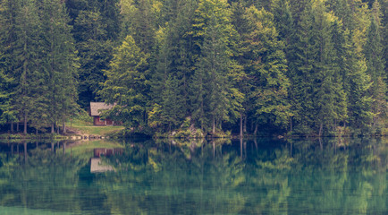 Wooden cabin surrounded with pine forest at lake shore.