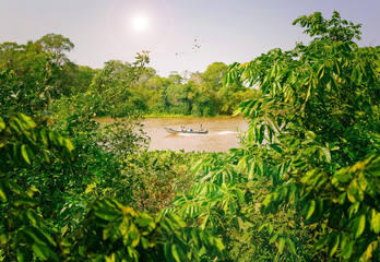 Fishermen's boat navigating on a river surrounded by the jungle of Pantanal in Brazil.