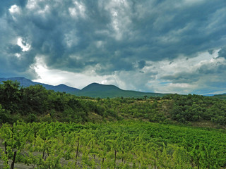 Cloudy sky above vines planted on a steep hillside near Alushta City, Crimea
