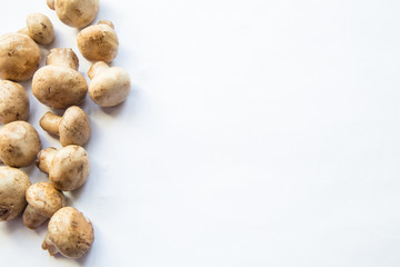 Fresh white mushrooms champignon