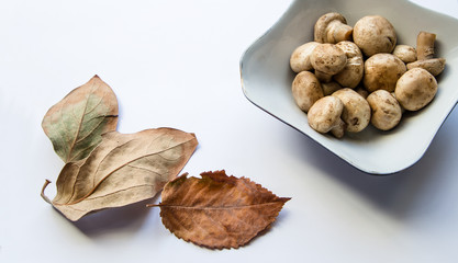 Mushrooms in plate and autumn leaves