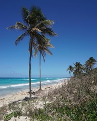 Strand in Playa Santa Maria, Playa del Este, Havanna | Kuba | Karibik