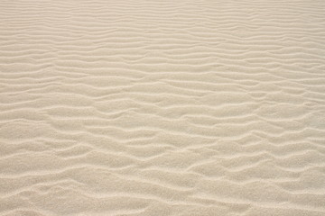 Fototapeta na wymiar Sand pattern on the dunes