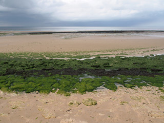 Plage de Normandie à marée basse