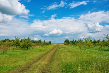 Fototapeta na wymiar Field road on the background of the blue sky in the summer