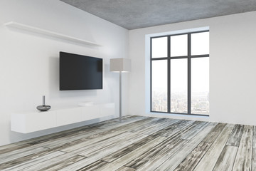 Modern living room with blank TV side
