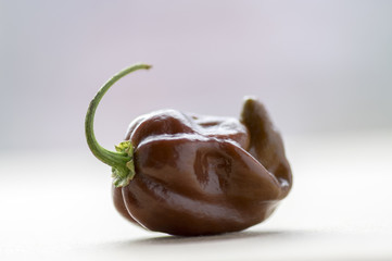 Ripened capsicum chinenses on wooden table, Habanero chocolate