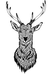 Vector illustration of Christmas deer hand drawn isolated