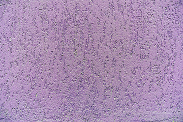 purple wall made of plaster. Background for creativity. textured plaster.