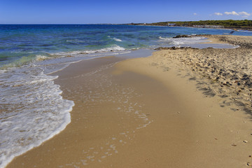 Summertime. The most beautiful sand beaches of the nature reserve ''Le Cesine''. It's a wetland of international importance: distinctive habitats are the dunes, the marshland and the maquis shrubland.