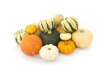 Pumpkins collection isolated on white