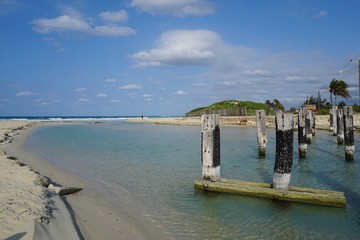 Am Strand, Holzreste auf Kuba, Playa del Este