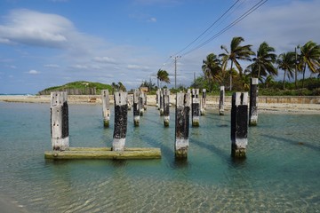 Am Strand, Holzreste auf Kuba, Playa del Este