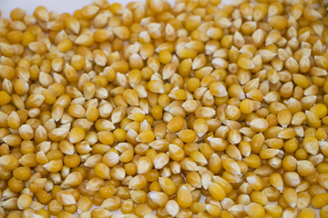 Popcorn kernel background, corn