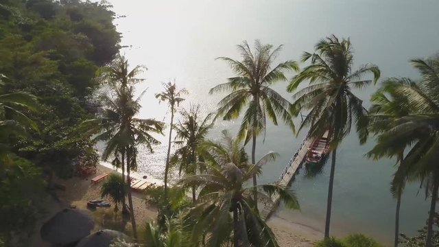 Aerial of the Gulf of Siam looking through palms trees with a fishing boat at a dock and light reflecting off of the water.