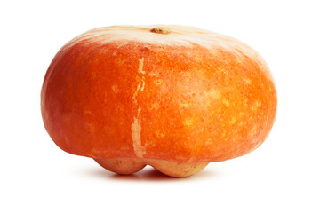 Pumpkin isolated on white background