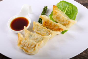 Japan dumplings - Gyoza