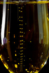 Champagne glass on black background