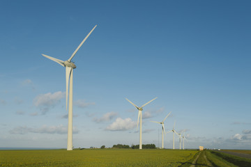 Fototapeta premium Wind turbines of a power plant for electricity generation in Normandy, France. Concept of renewable sources of energy. Environmentally friendly electricity production. Toned