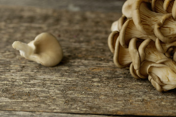 Oyster mushrooms branched on wooden desk toned selective focus