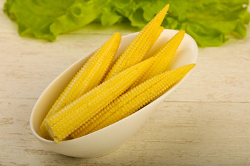 Young baby corn