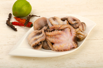 Raw octopus