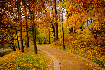 Obraz premium Park landscape at golden fall