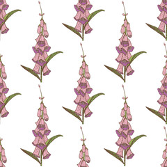 Colored Foxglove Seamless Pattern. Hand Drawn Graphic Background. Vector Illustration of Medicinal Plant © feirin
