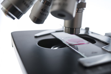 a lab microscope in the detail - science concept