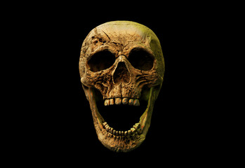 Human skull on Rich Colors. The concept of death, horror. A symbol of spooky Halloween. 3d rendering illustration.