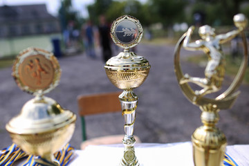 Obraz na płótnie Canvas Gold bowls for the winners of sports competitions