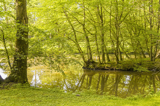 idyllic park scenery