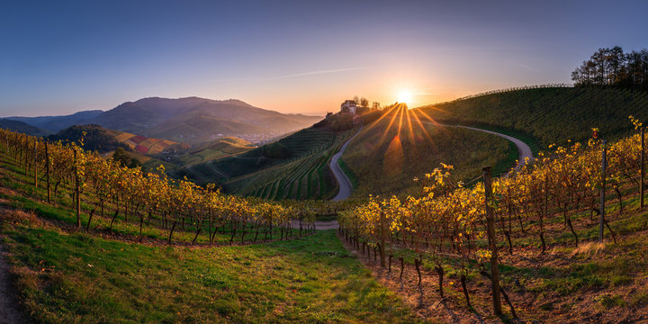 Sonnenuntergang in den Weinreben, Schloss Staufenberg in Durbach