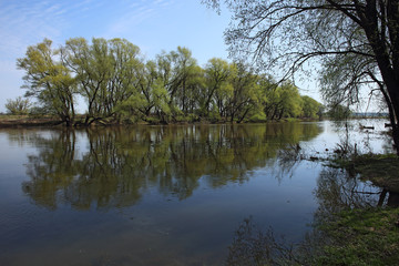 Fototapeta na wymiar Small river in early spring, Russia