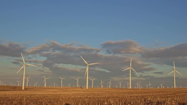Windmills and farmland wheat fields harvested green energy renewable sunset
