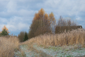 First snow on village road in field in late autumn