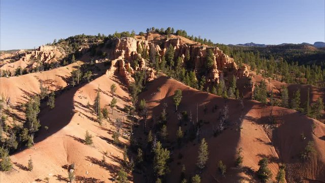Wide high angle flyover shot of pine trees in canyon landscape / Red Canyon, Utah, United States